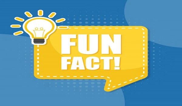 Featured Image of Fun Fact