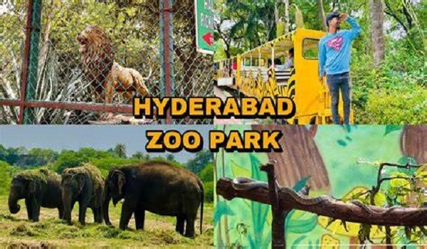 Featured Image of To Hyderabad Zoo